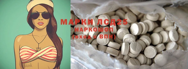 шишки Баксан