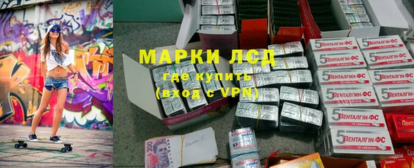шишки Баксан