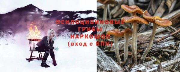 винт Арсеньев