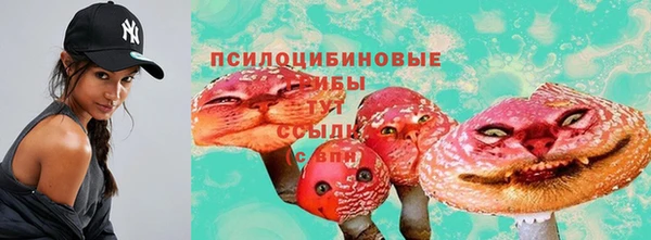 винт Арсеньев