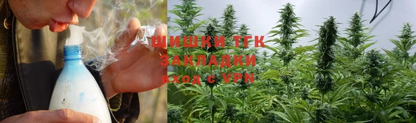 винт Арсеньев